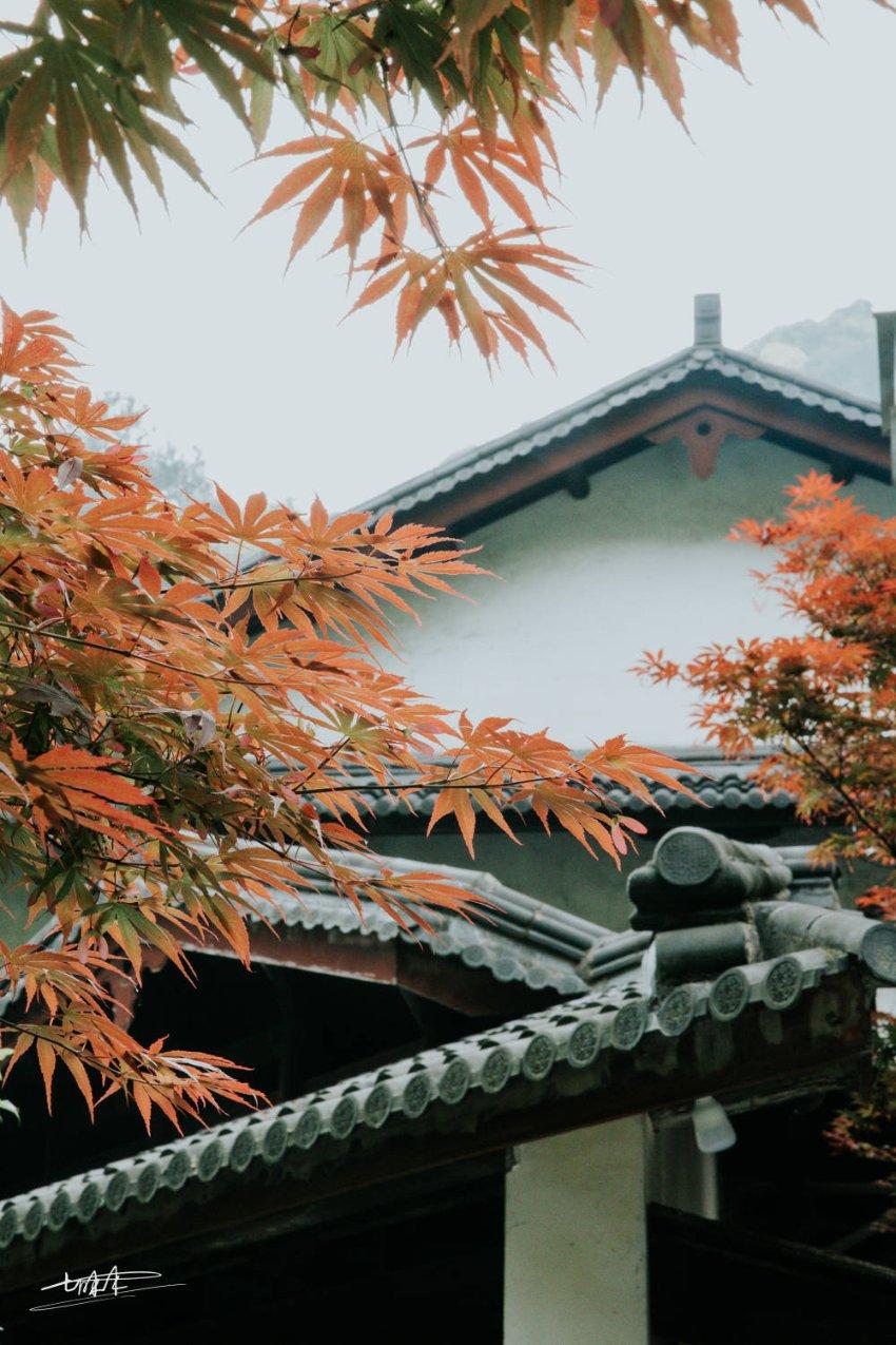 芭比滑稽服装
